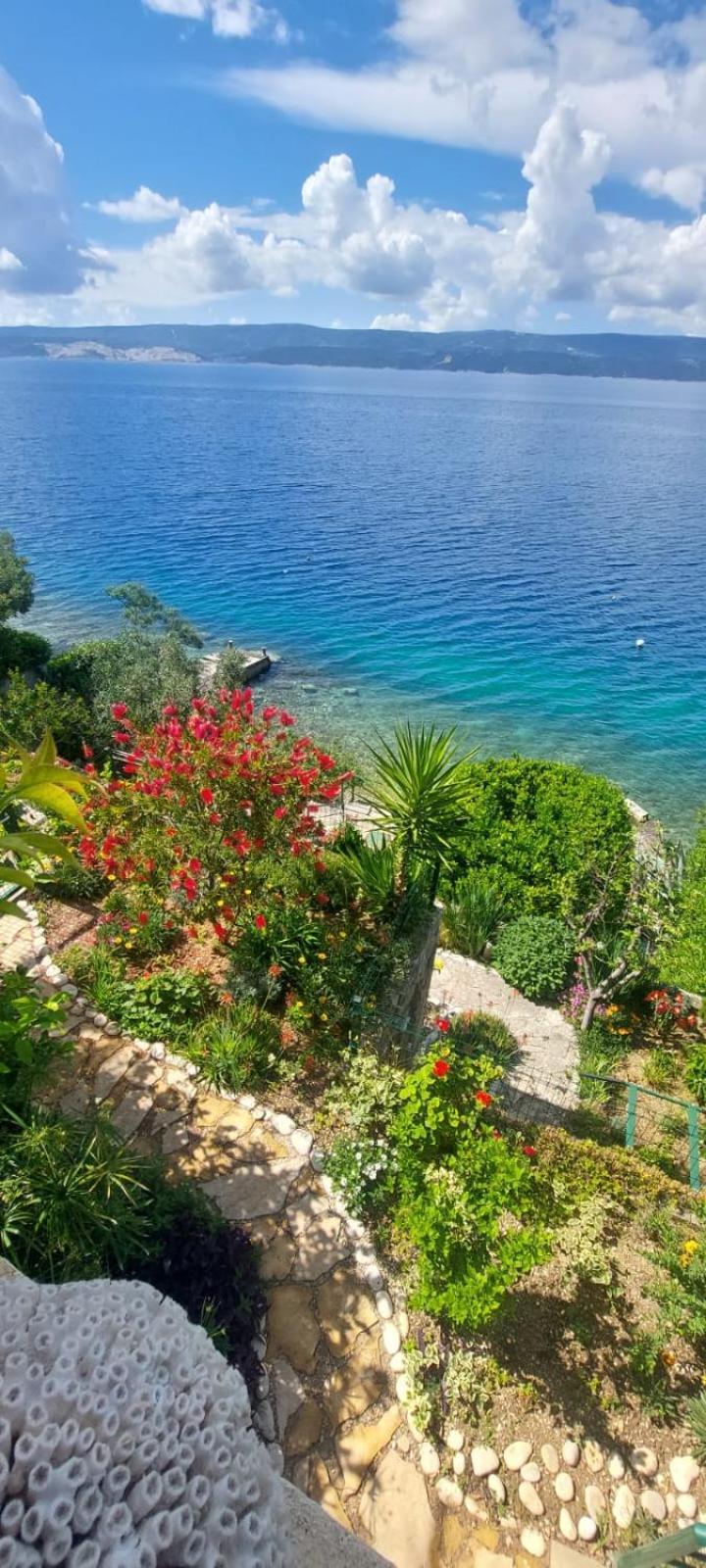 Apartment Toncica Omiš Eksteriør billede