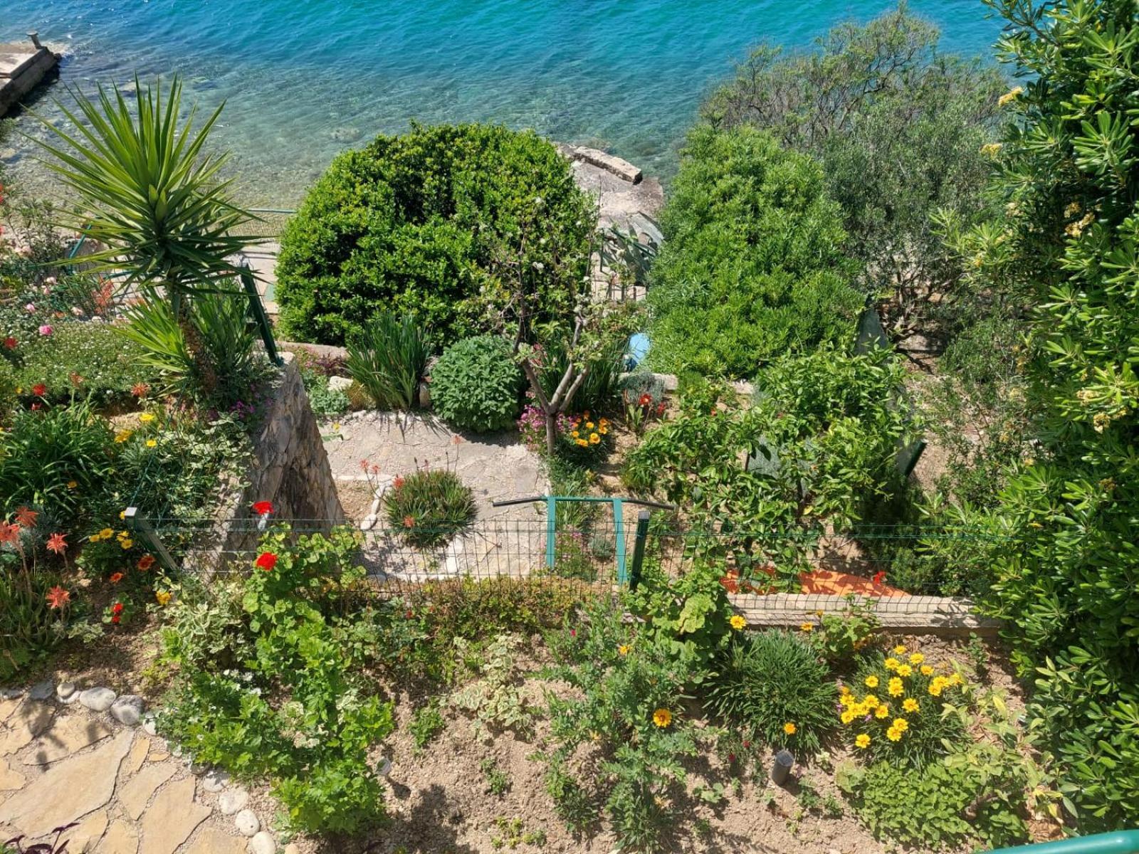 Apartment Toncica Omiš Eksteriør billede