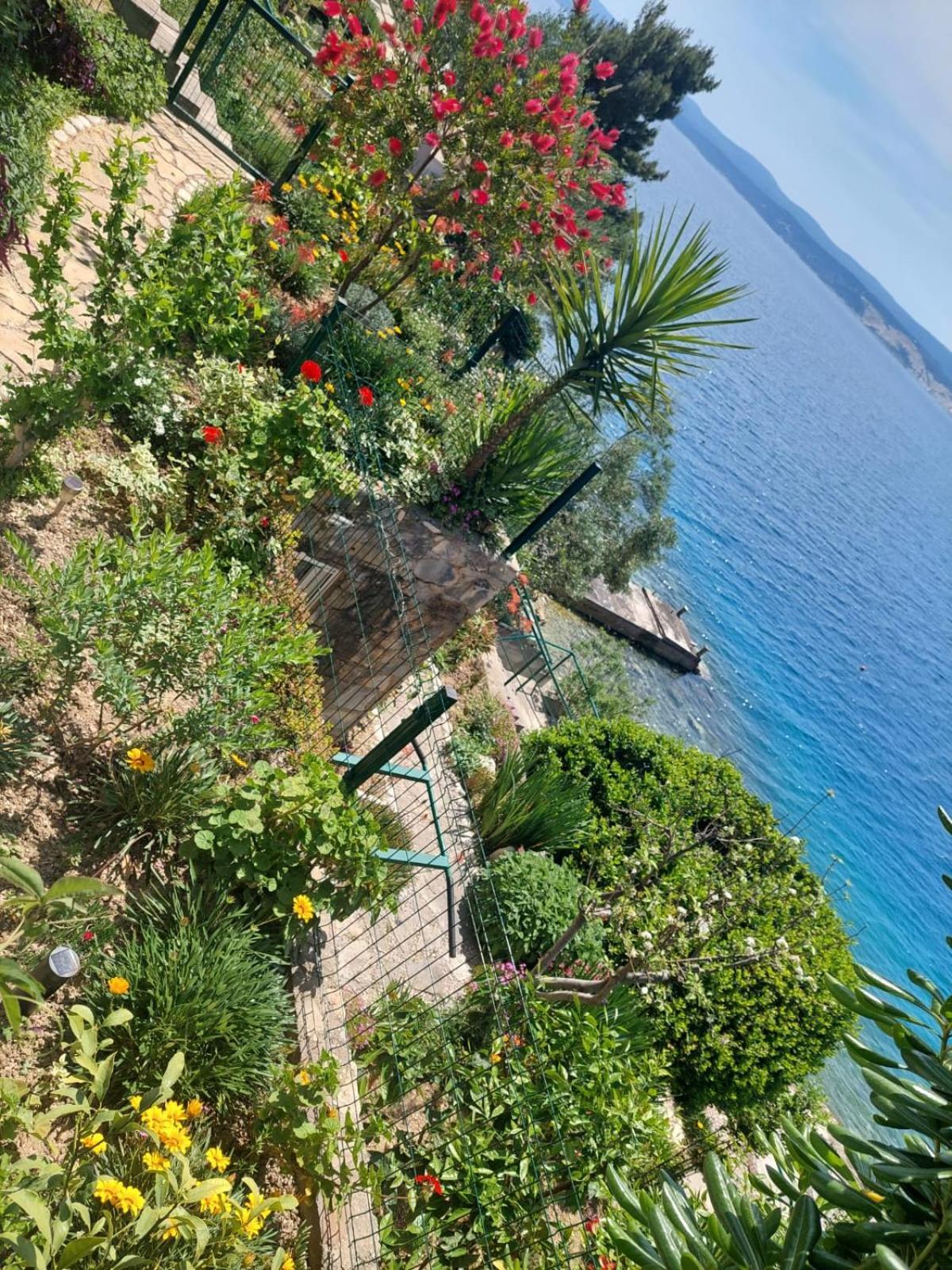 Apartment Toncica Omiš Eksteriør billede