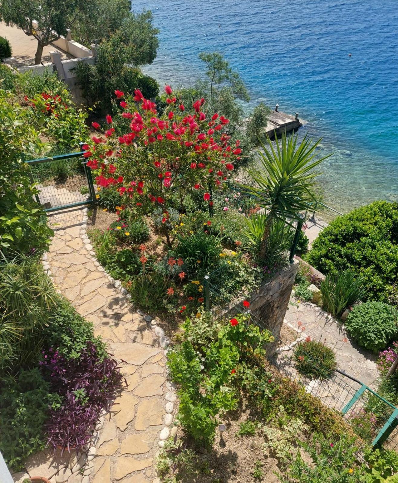 Apartment Toncica Omiš Eksteriør billede